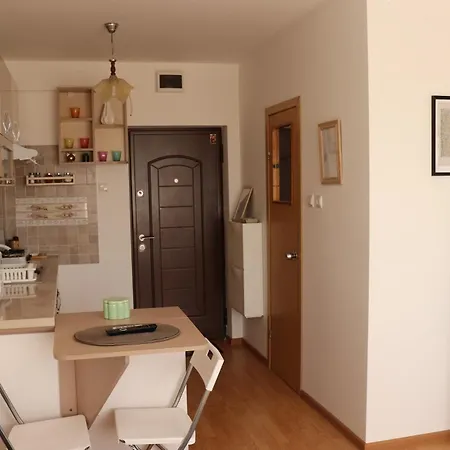 شقة Garsoniera Iris