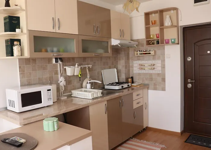 Garsoniera Iris Apartment