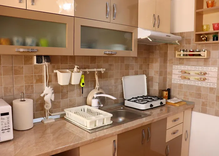 Garsoniera Iris Apartment *